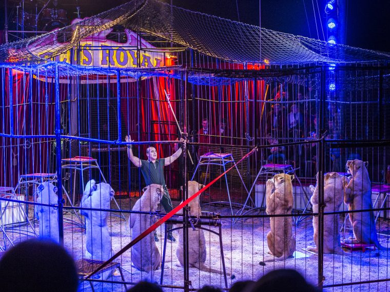 TIR stellt Strafanzeige gegen Circus Royal online
