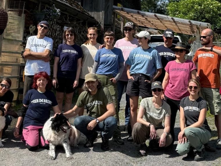 TIR-Helfertag auf dem Gnadenhof Luna in Schwendi