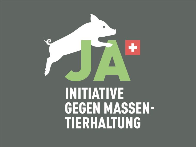 TIR empfiehlt ein Ja zur Initiative gegen Massentierhaltung