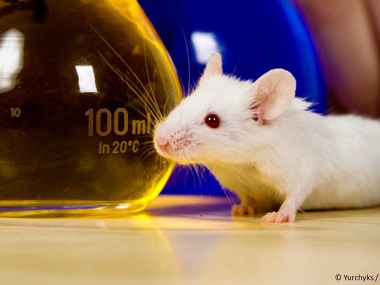 TIR unterstützt Petition für die Förderung tierversuchsfreier Forschung