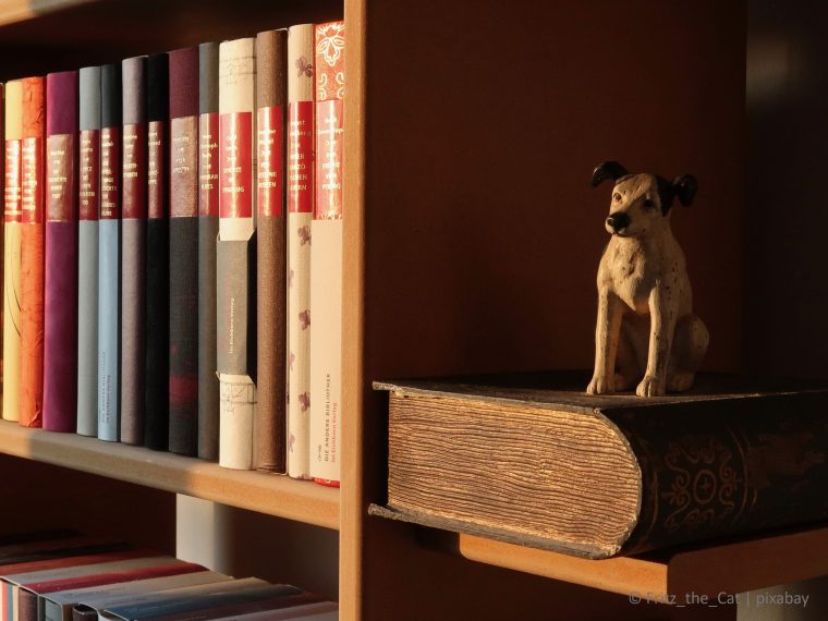 TIR freut sich über die Lancierung der internationalen Plattform Netzwerk Tierbibliotheken - animal-libraries.org