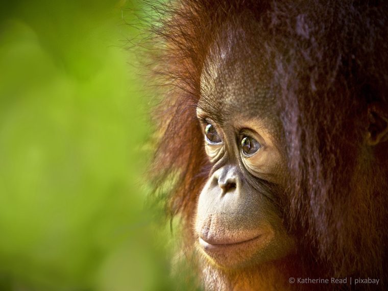 TIR enttäuscht über die Ablehnung der Initiative 