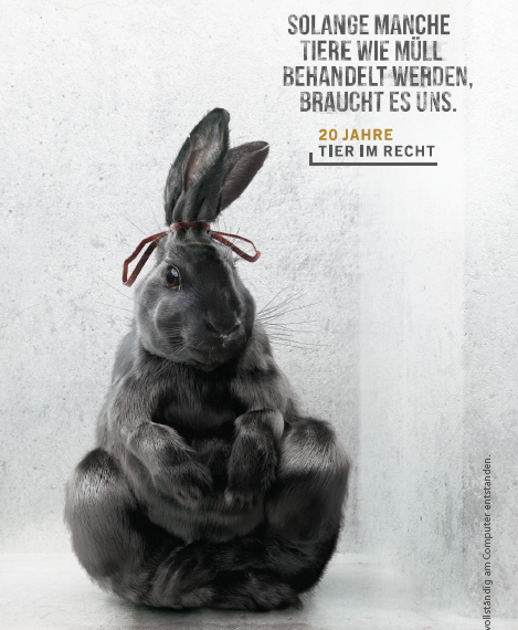 Erneute grosse Auszeichung für TIR-Kampagne 