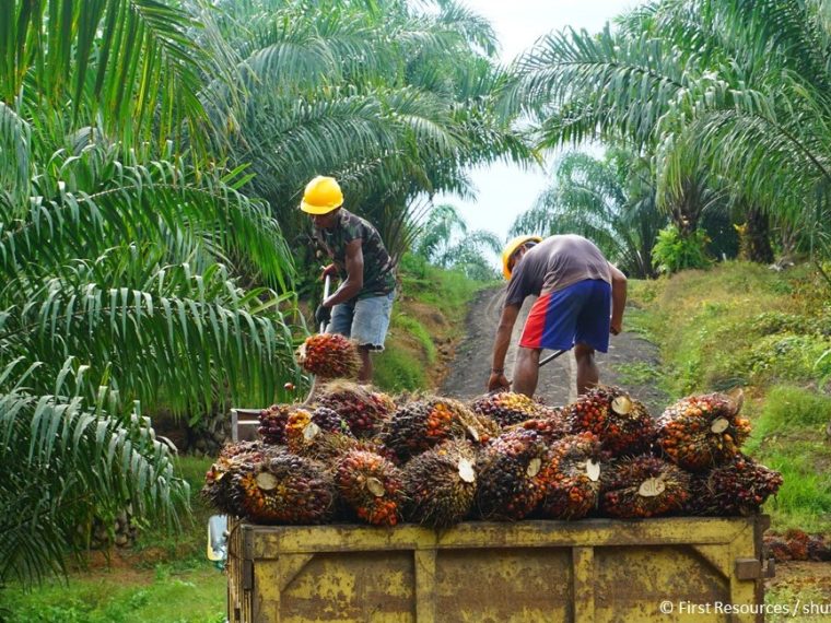 Abstimmung vom 7. März - TIR empfiehlt die Ablehnung des Freihandelsabkommens mit Indonesien (CEPA)