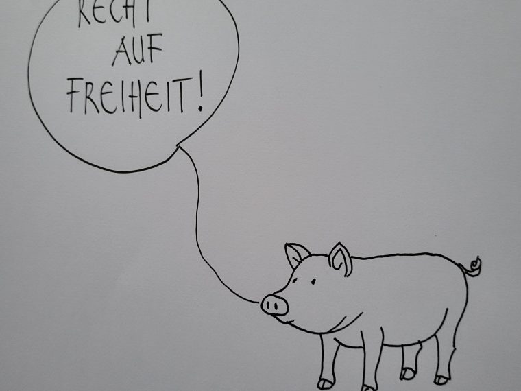 Newsletter TIR-Bibliothek: TIR präsentiert den Lesetipp