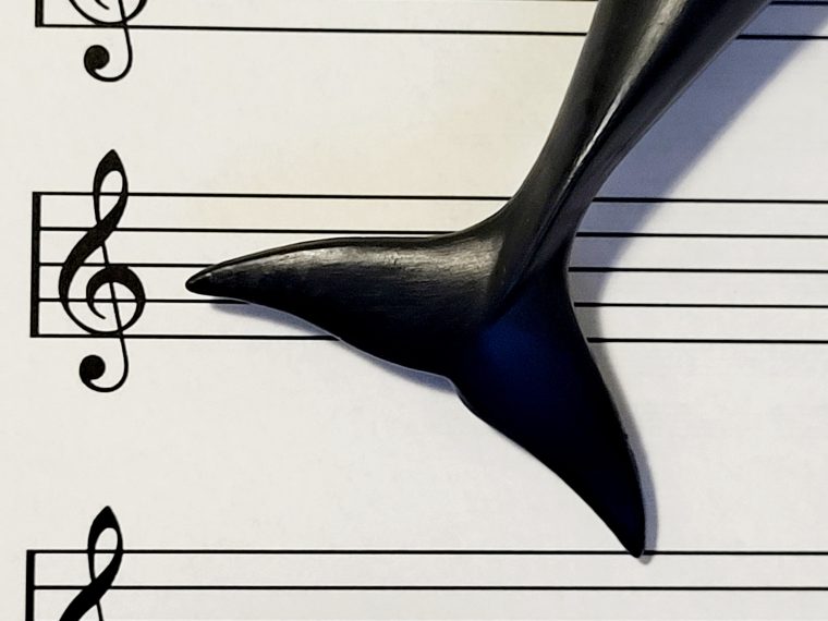 Newsletter TIR-Bibliothek: TIR präsentiert den Lesetipp