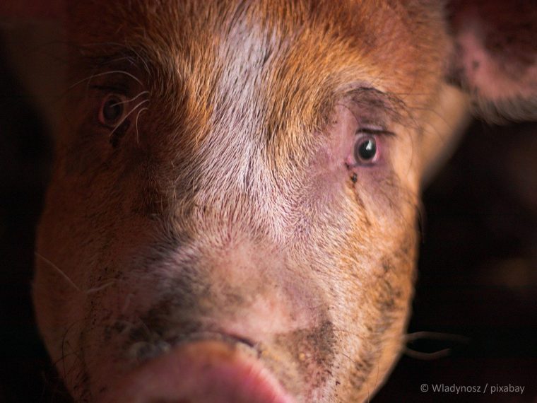 TIR enttäuscht: Die WAK-N lehnt die Volksinitiative 