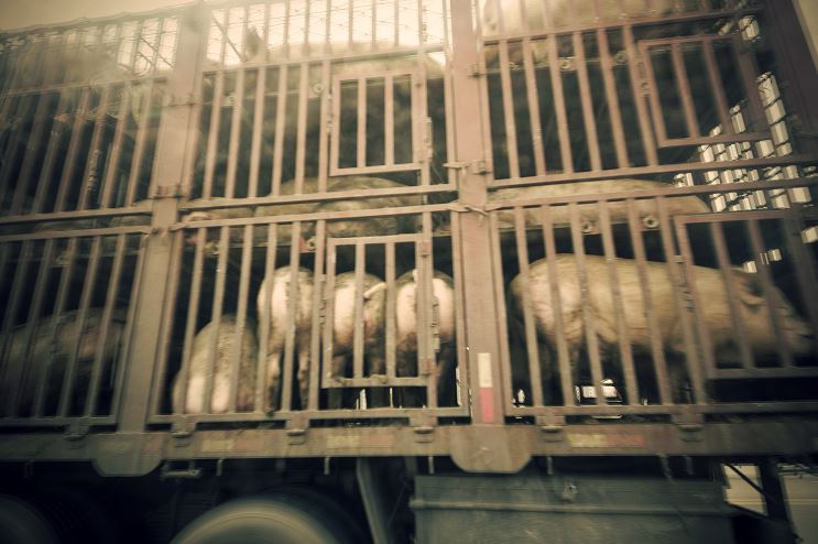 TIR unterstützt Aktion 