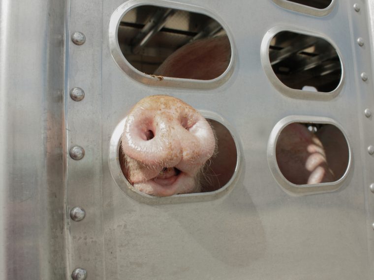 TIR unterstützt Aktion 