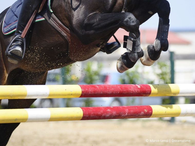 Strafverfahren gegen Springreiter Martin Fuchs eingestellt - aus Sicht der TIR zu Unrecht