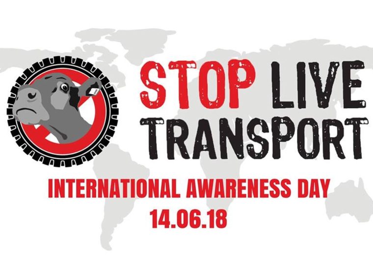 TIR unterstützt Aktion 