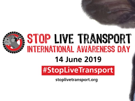 TIR unterstützt Aktion 