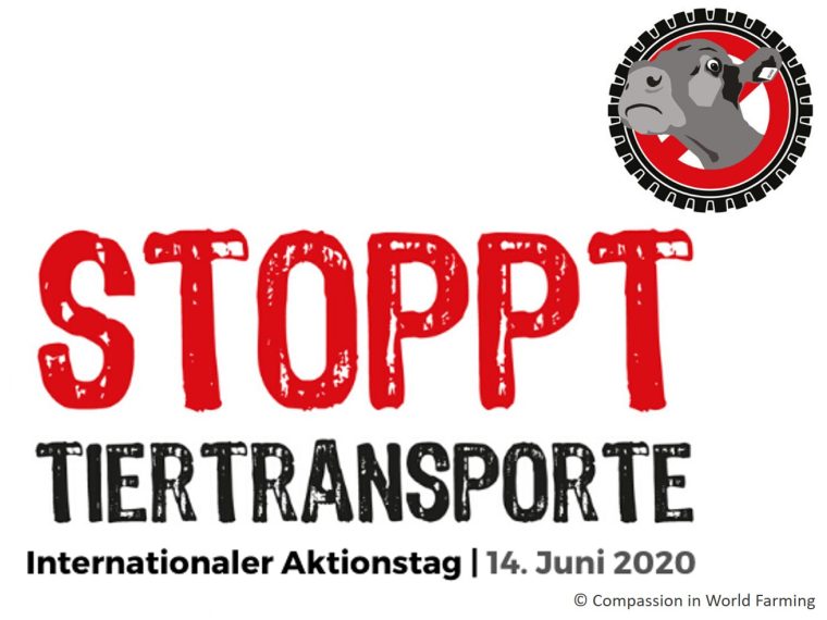 TIR unterstützt Aktion 