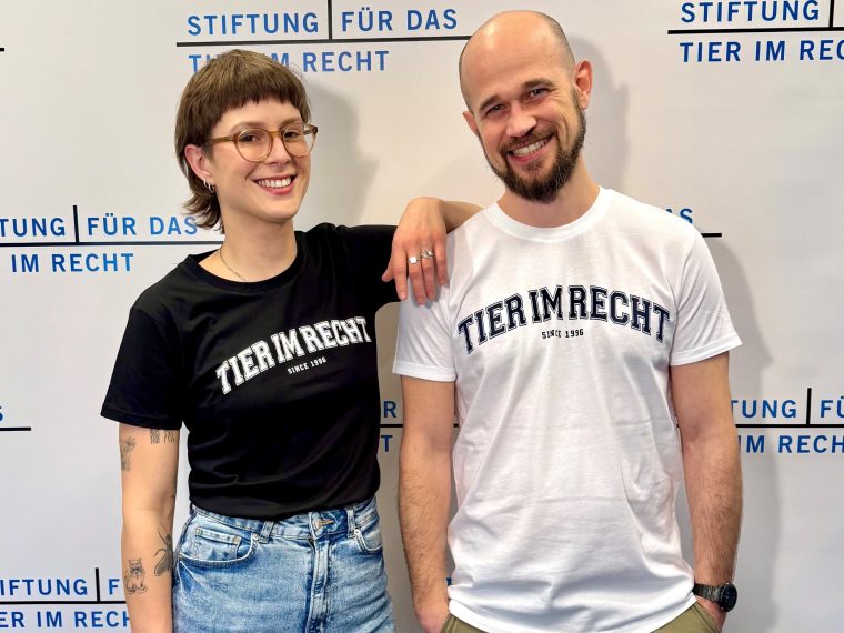 TIR-Shirts wieder erhältlich