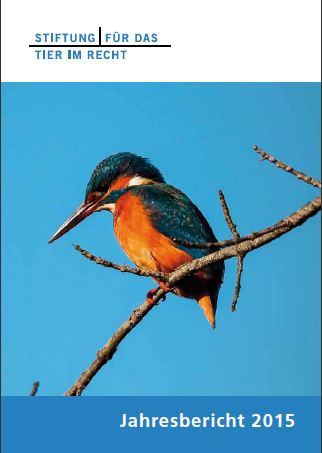 TIR-Jahresbericht 2015