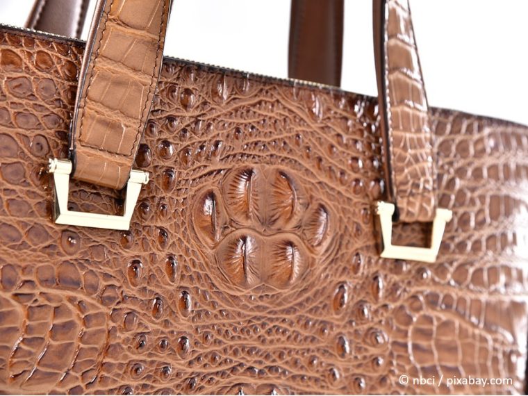 TIR erfreut: Nationalrat nimmt zwei tier- und artenschutzrelevante Motionen an