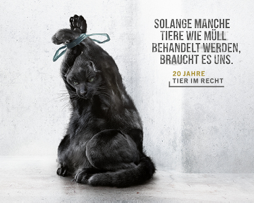 TIR lanciert neue Kampagne gegen Tierquälerei - Solange Tiere wie Müll behandelt werden, braucht es uns!