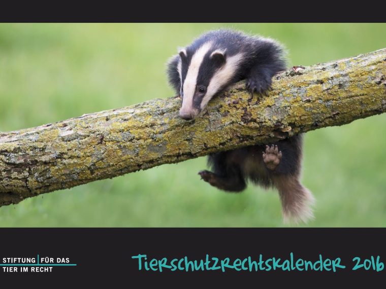 Tierschutzrechtskalender 2016