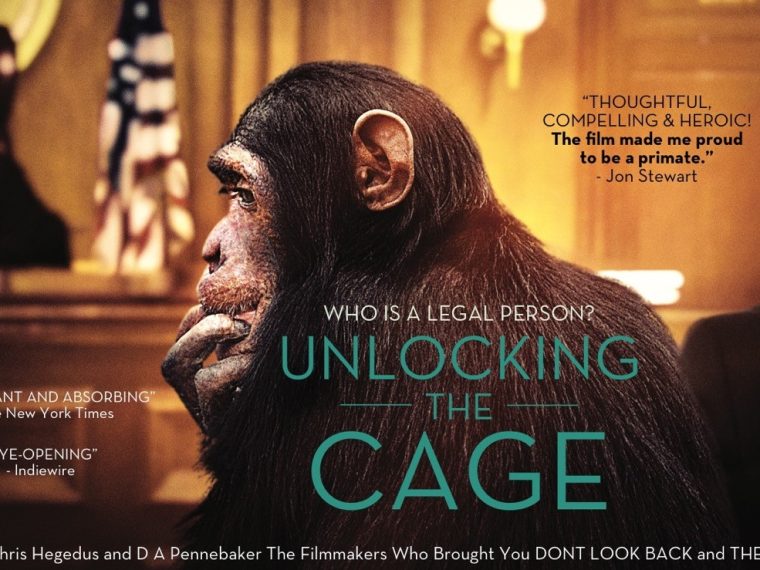 TIR an der Filmpräsentation 