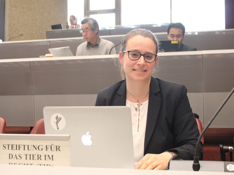 TIR an Konferenz zum Washingtoner Artenschutzübereinkommen (CITES)