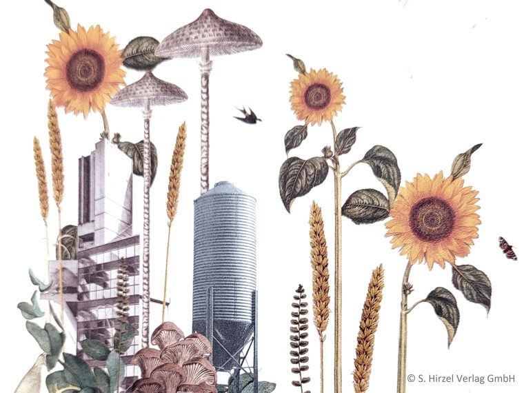 Newsletter TIR-Bibliothek: TIR präsentiert den Lesetipp