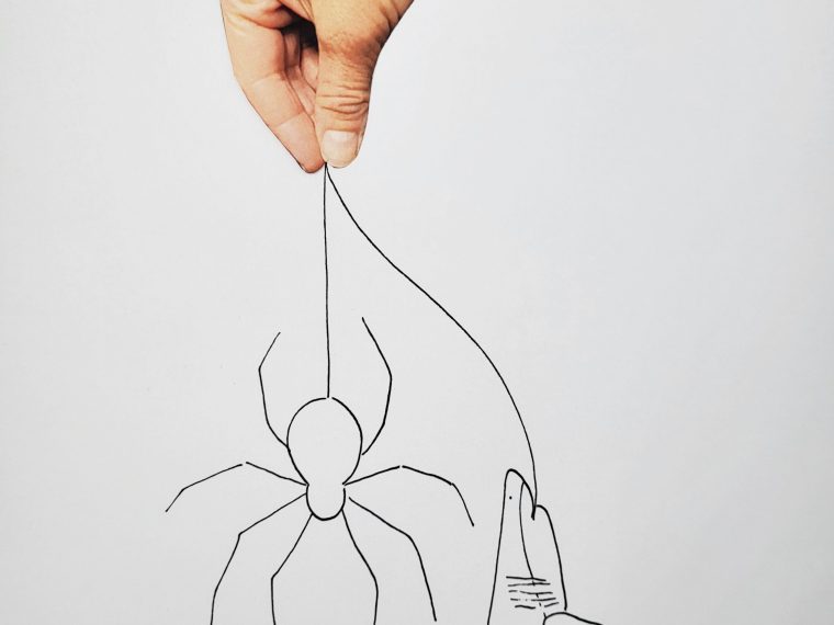 Newsletter TIR-Bibliothek: TIR präsentiert den Lesetipp