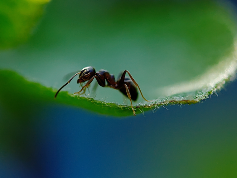 Der Frühling belebt die Natur - und unsere vier Wände