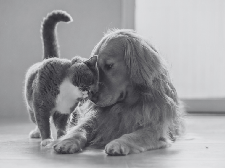 Erinnerung, die bleibt - die TIR-Gedenktafel