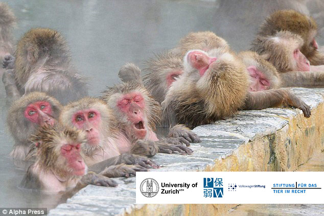 Keys to Understanding Animal Law in Japan - An Analysis of the Most Protected and the Least Protected Animals