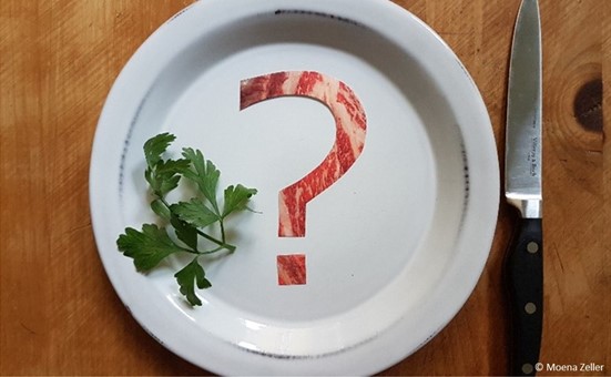 Newsletter TIR-Bibliothek: TIR präsentiert Lesetipp des Monats