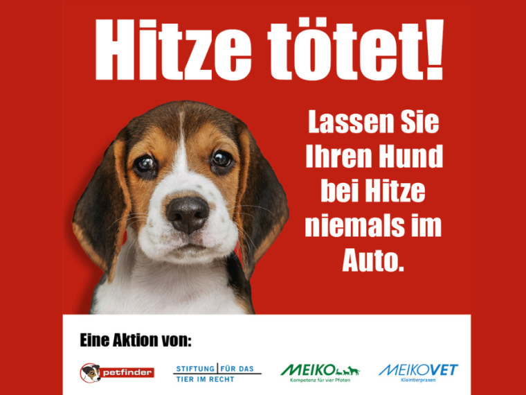 Hitze tötet - bitte schützt eure Tiere