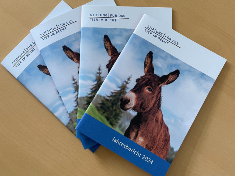 Ein starkes Jahr für die Tiere: Die TIR zieht Bilanz für 2024