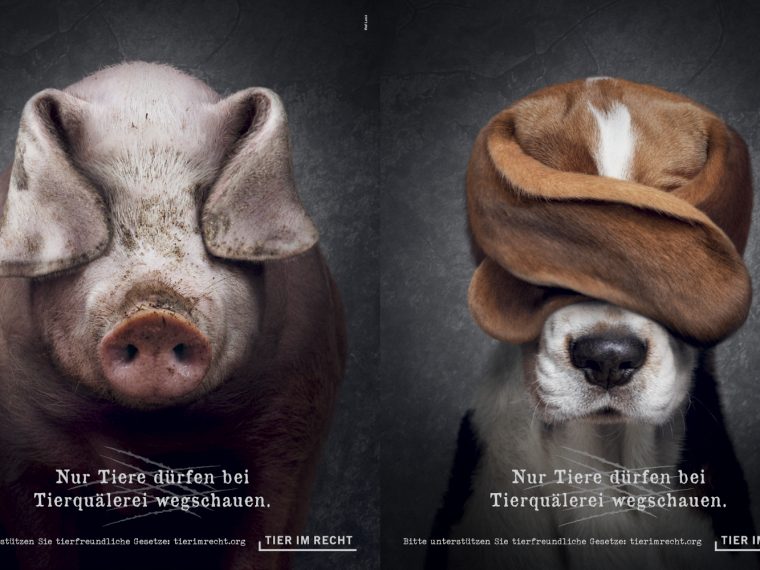 TIR lanciert neue Tierschutzkampagne: 