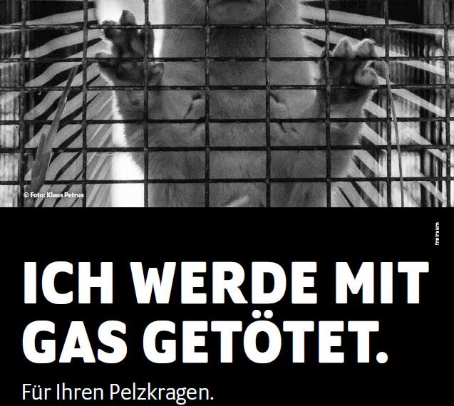 Tierschutzorganisationen verlängern gemeinsame Kampagne gegen Pelzprodukte