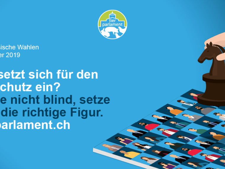 Eidgenössische Wahlen 2019: Informieren Sie sich auf tier-parlament.ch